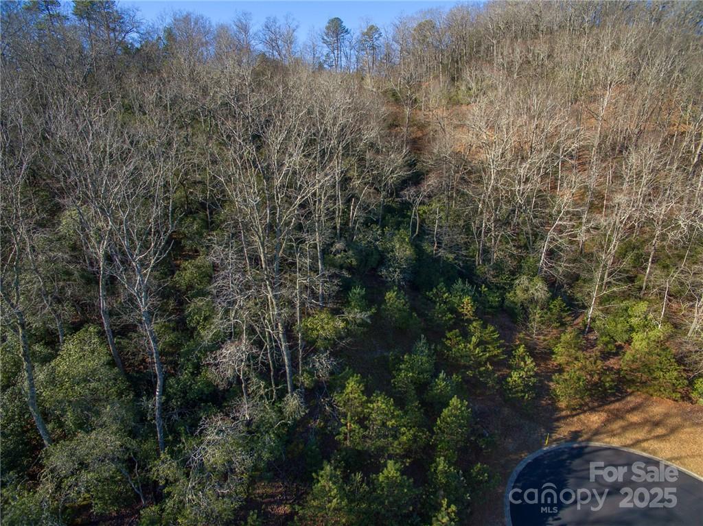 Homestead at Mills River - Land