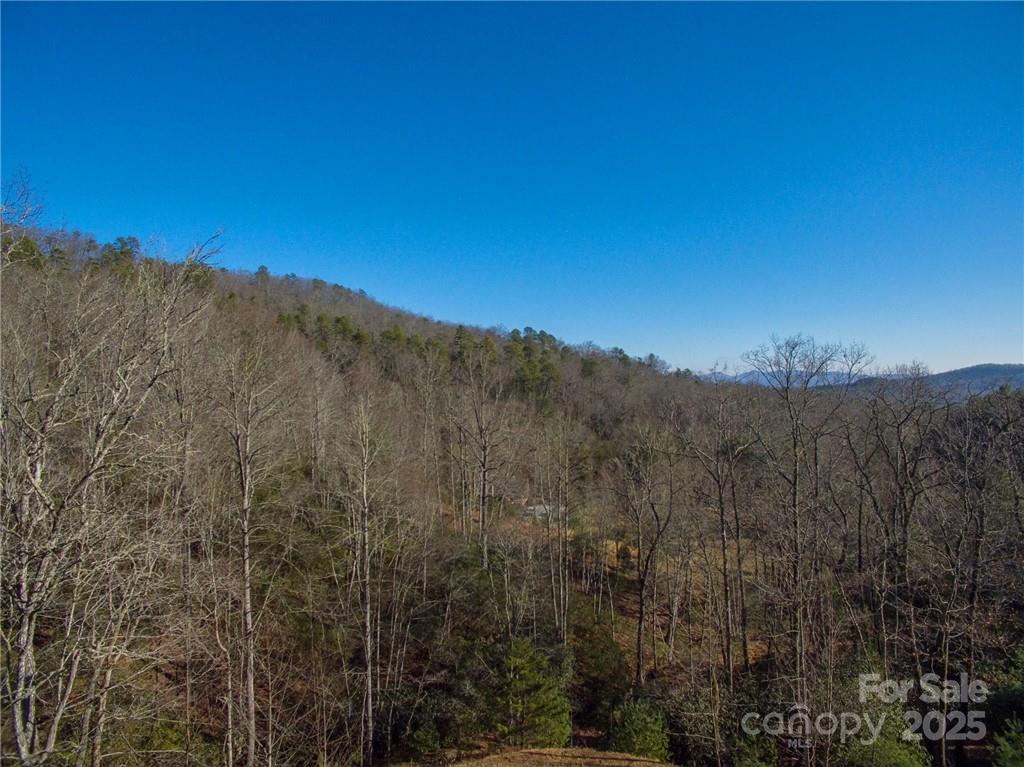Homestead at Mills River - Land