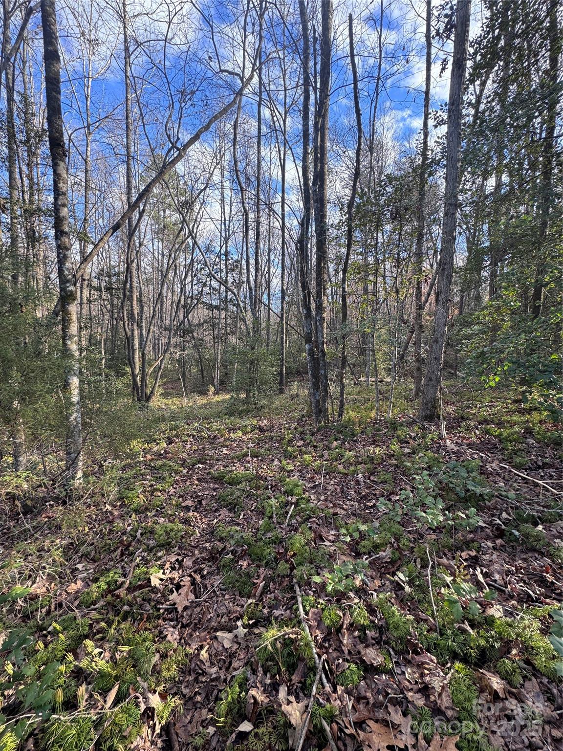 0 Hearthstone Drive 70