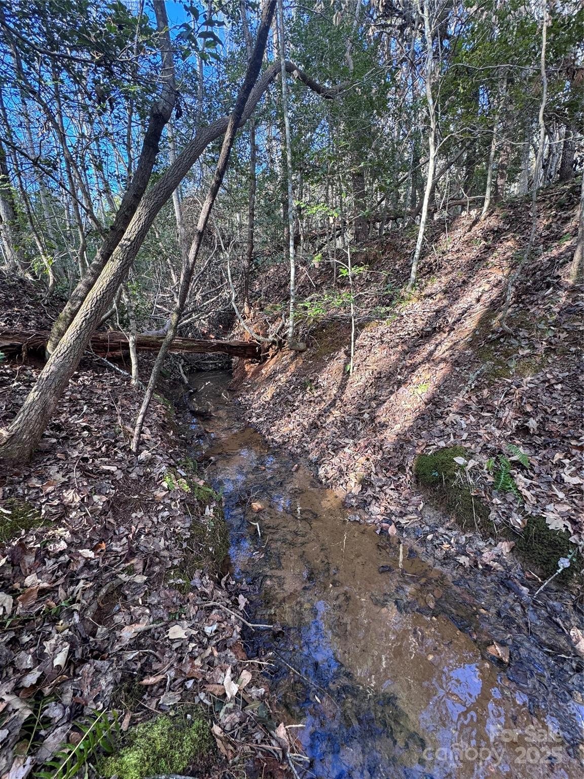 Hearthstone Ridge - Land