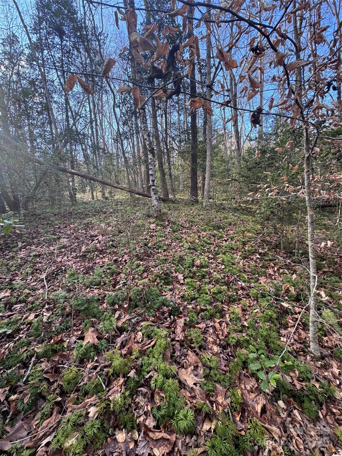 Hearthstone Ridge - Land