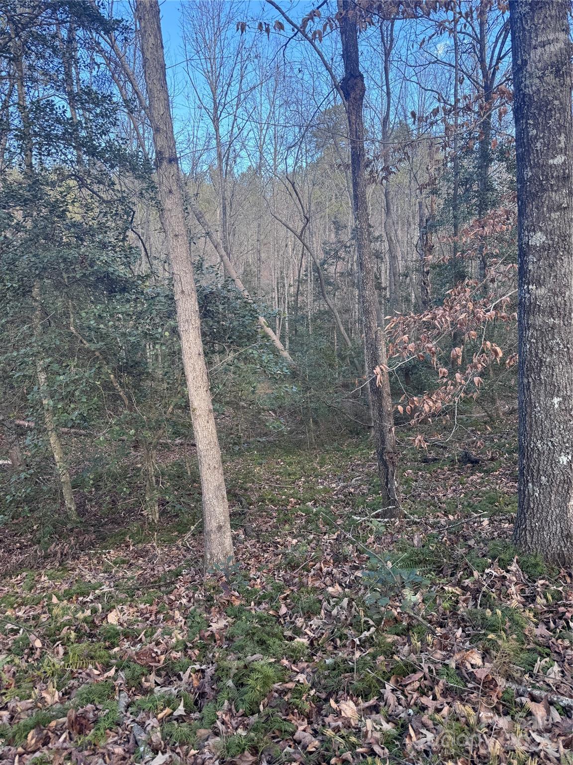 0 Hearthstone Drive 70