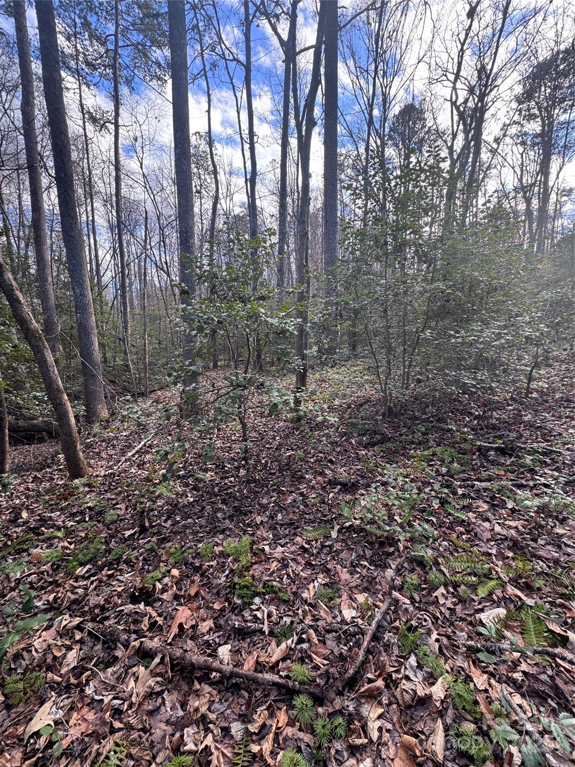 0 Hearthstone Drive 70