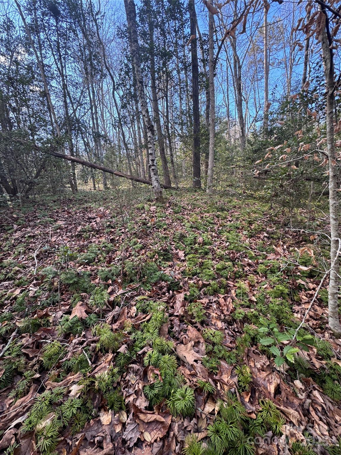 Hearthstone Ridge - Land