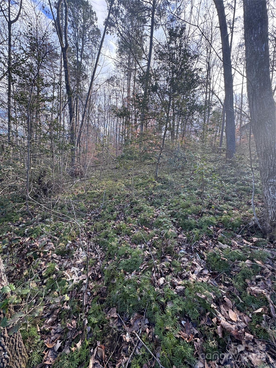 Hearthstone Ridge - Land