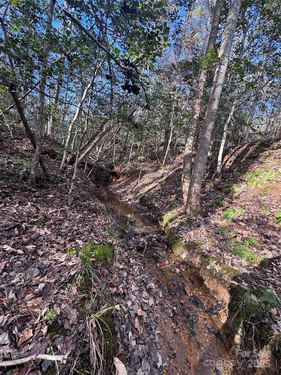 Hearthstone Ridge - Land