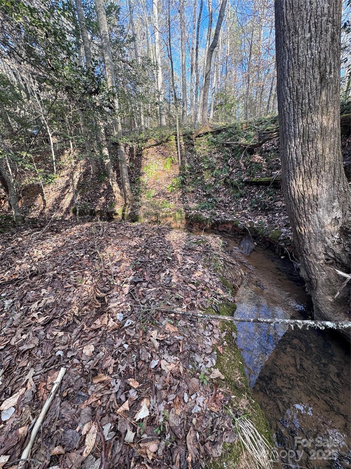 Hearthstone Ridge - Land