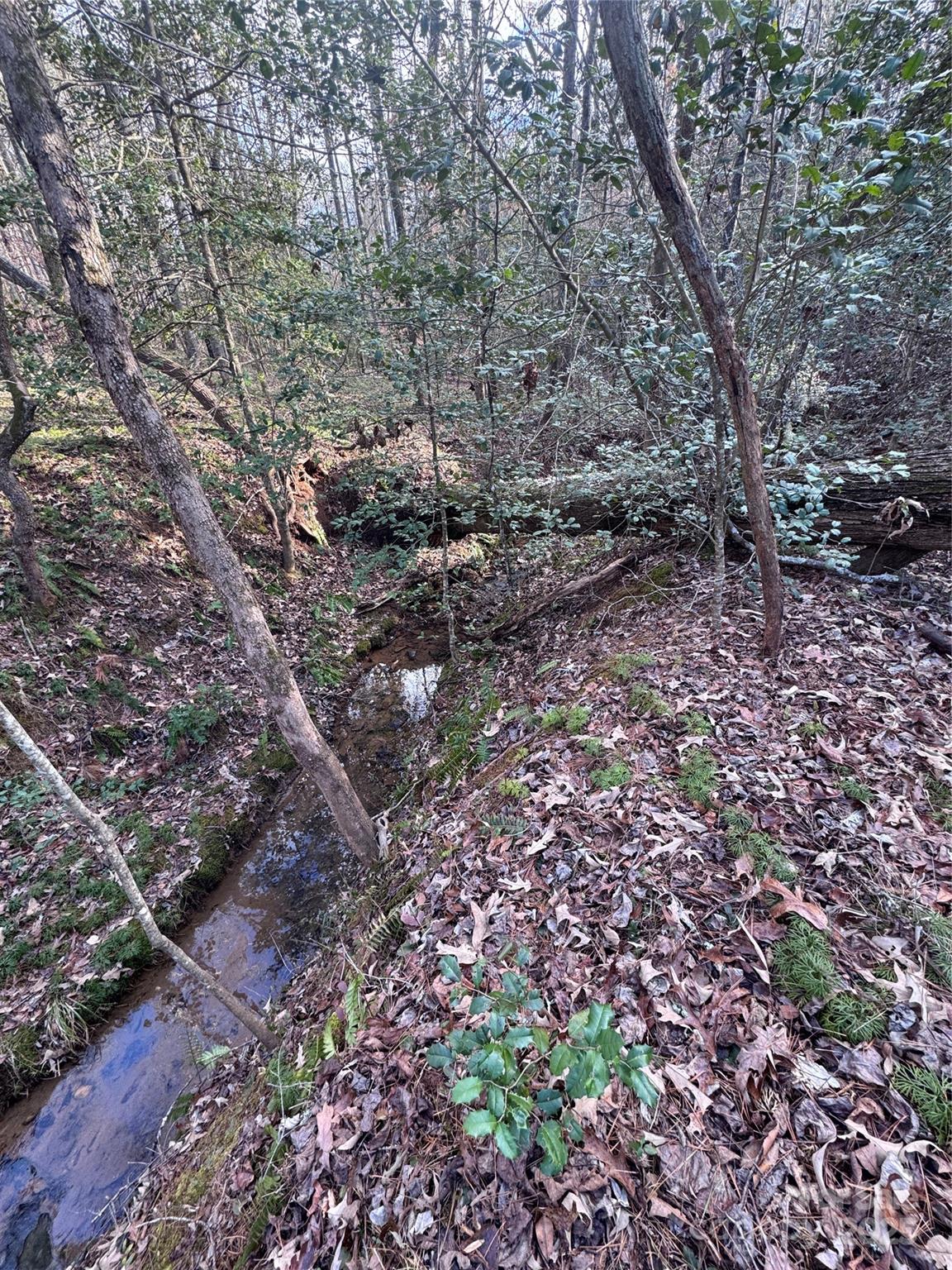 Hearthstone Ridge - Land