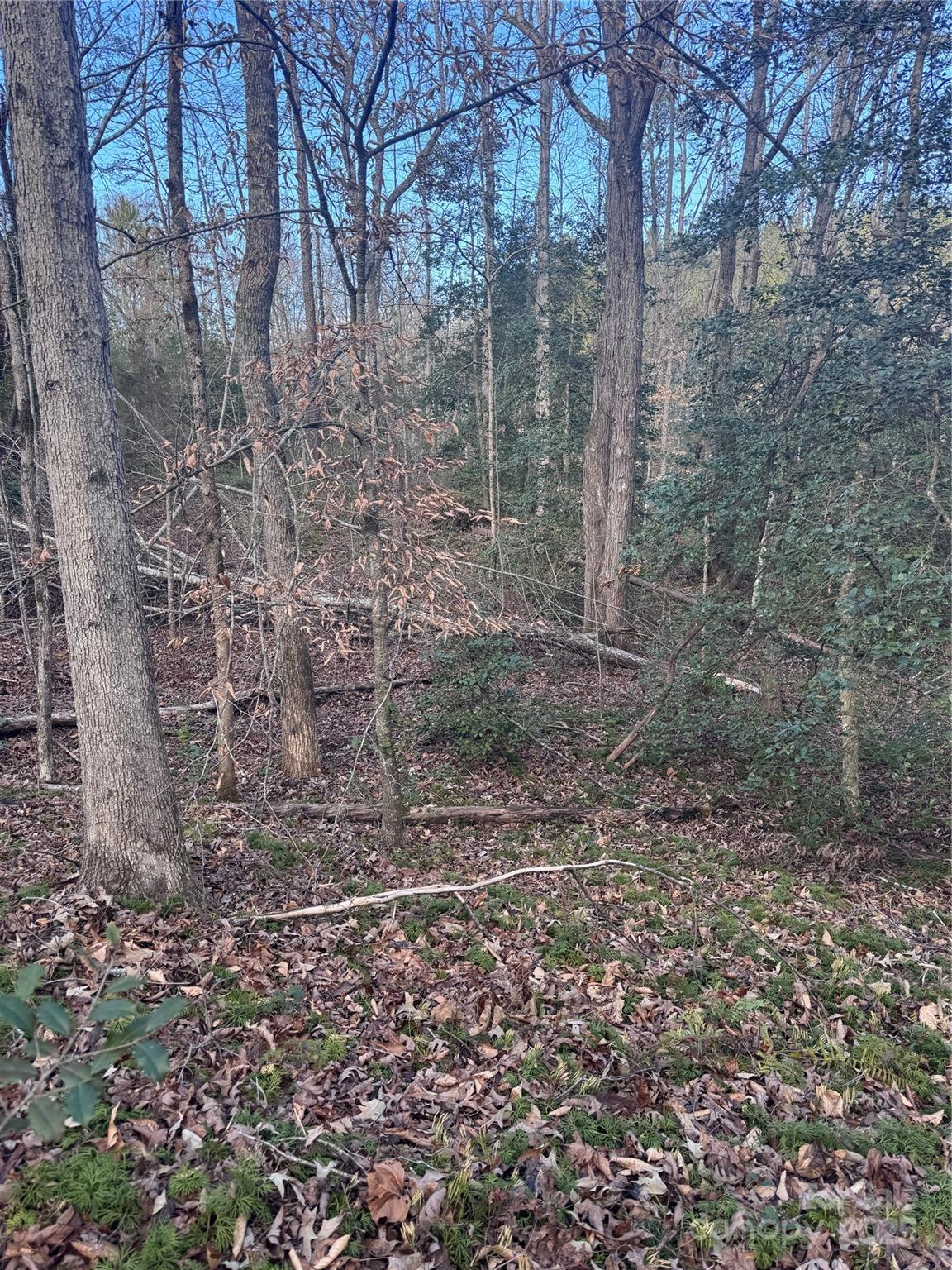 Hearthstone Ridge - Land