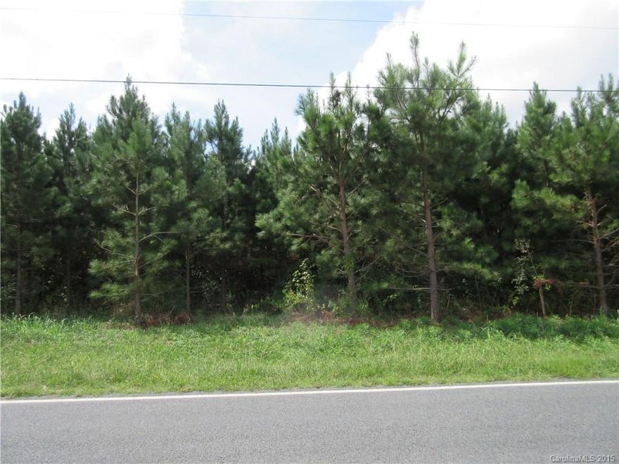 Beautiful wooded acreage in Stanly County!  Perfect for building a permanent home on and making it a mini-farm.  Close proximity to Badin Lake, Lake Tillery, Morrow Mountain, and the Uwharrie National Forest.