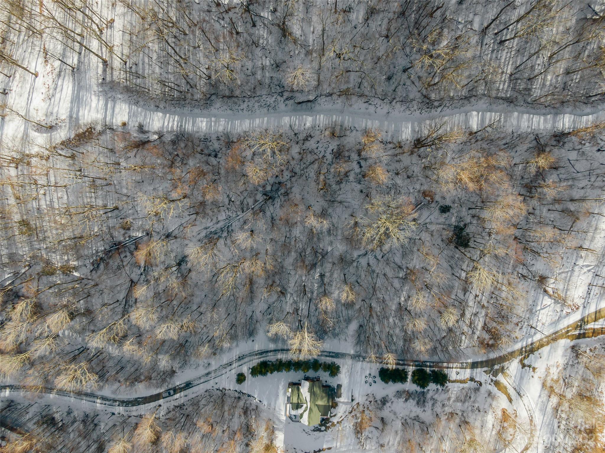 The Preserve at Wolf Laurel - Land