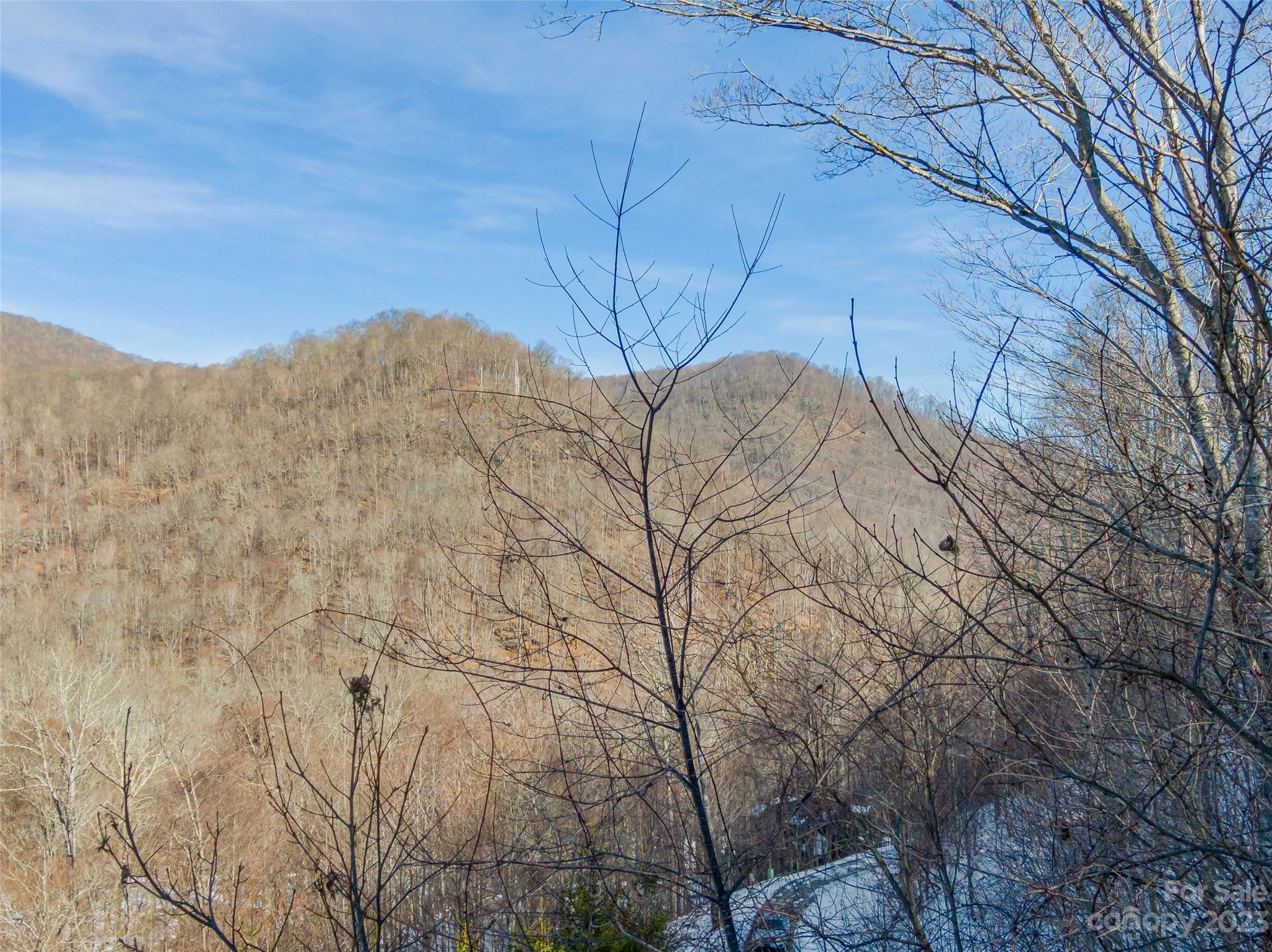 The Preserve at Wolf Laurel - Land