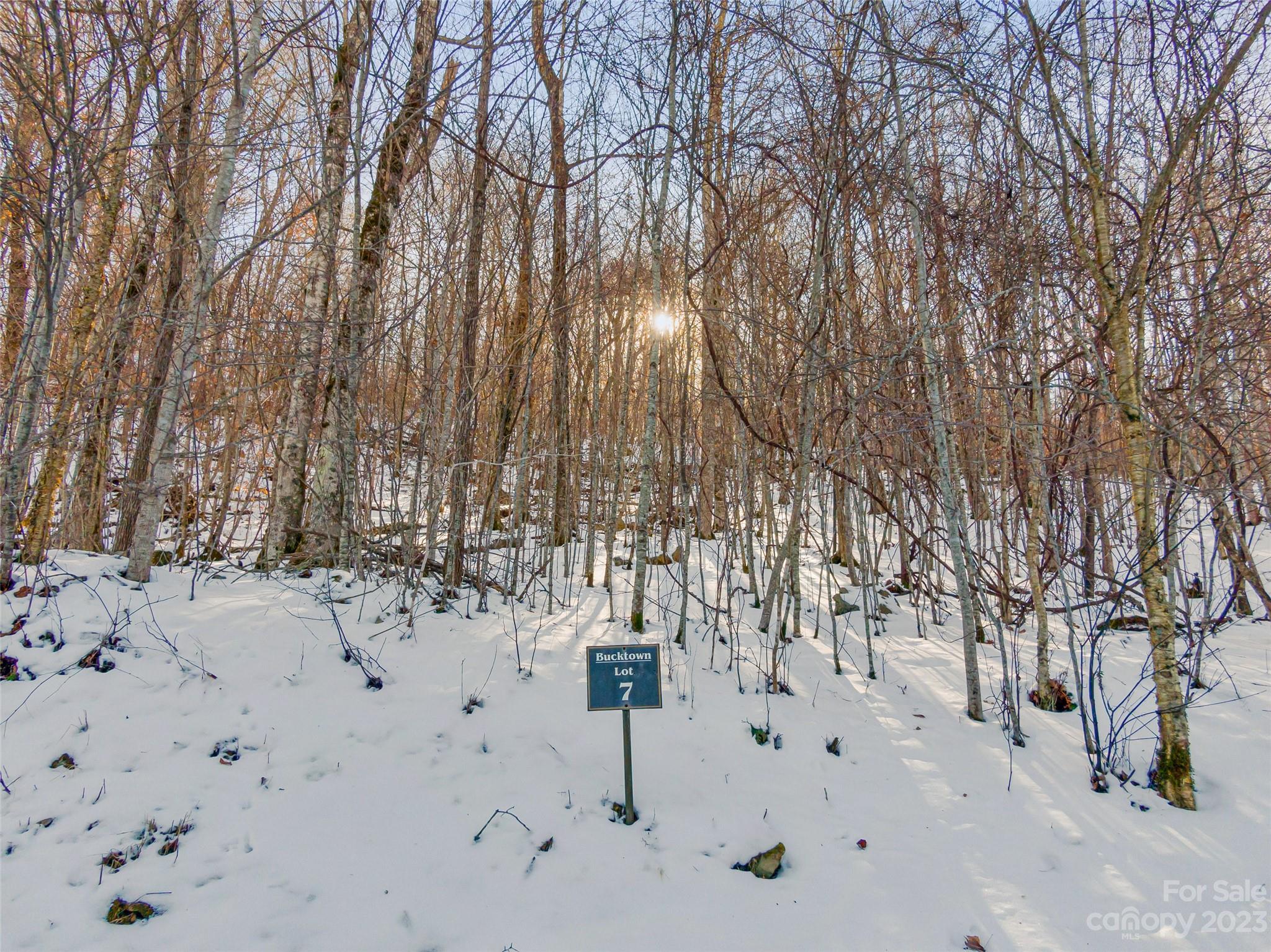 The Preserve at Wolf Laurel - Land