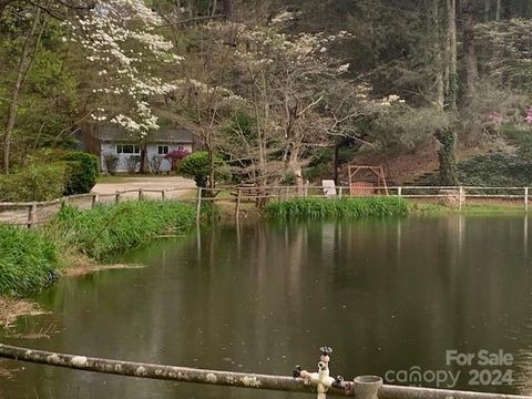 A home in Flat Rock