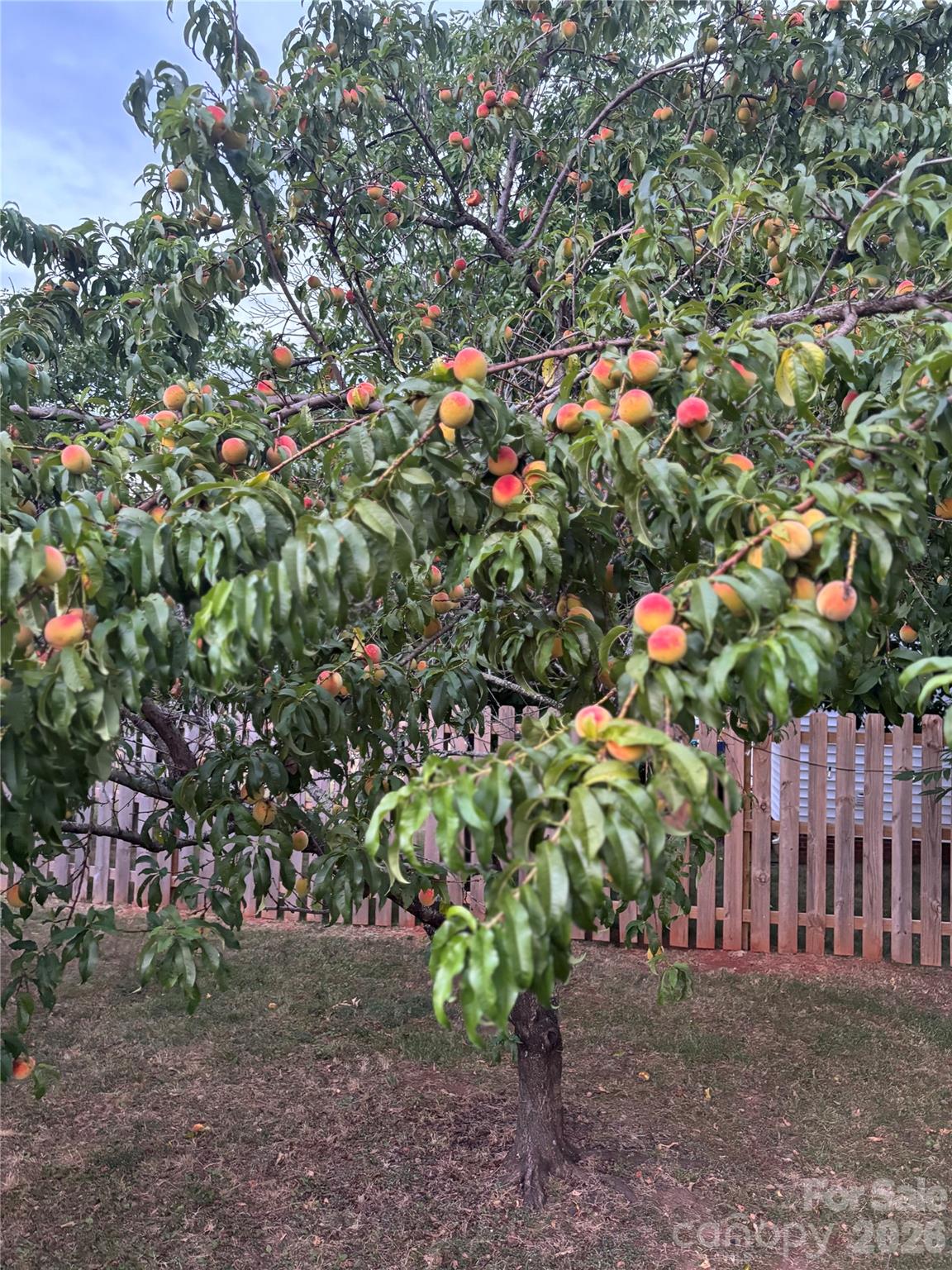 Stoney Creek - Residential