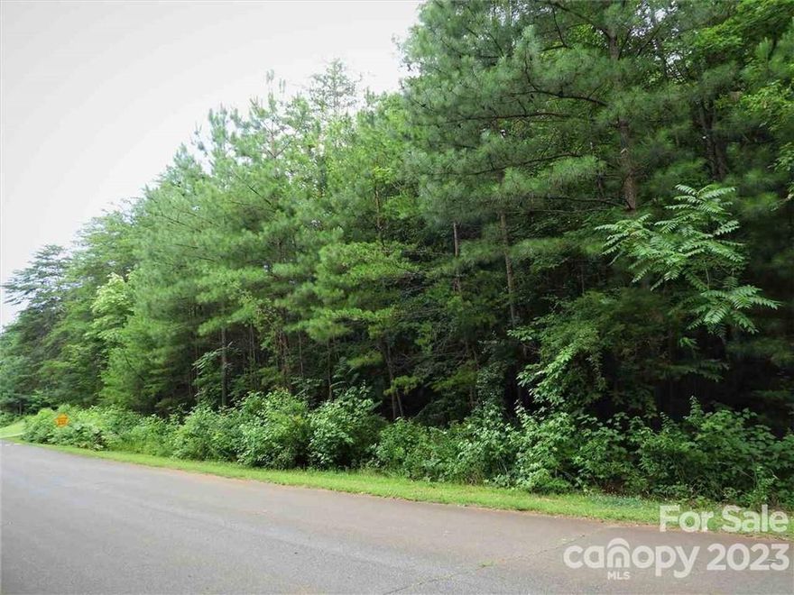 Perfect spot to build your dream home! This 0.86 acre lot sits just outside of the city limits in an established neighborhood. Its conveniently located to shopping, restaurants, medical care and schools. The 0.83 acre lot located beside this one can be purchased for more acreage and public water is available.