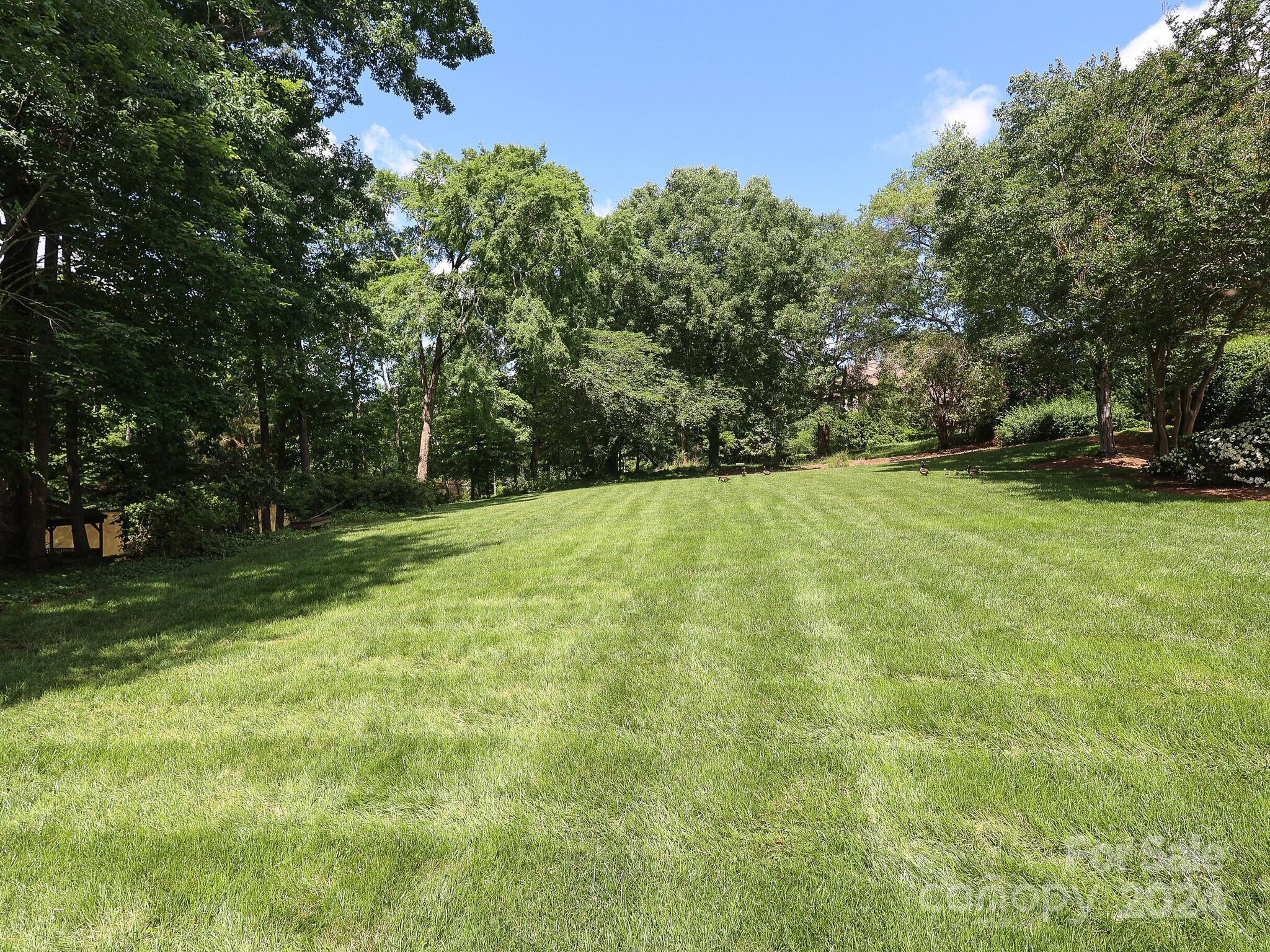 Pellyn Wood - Residential