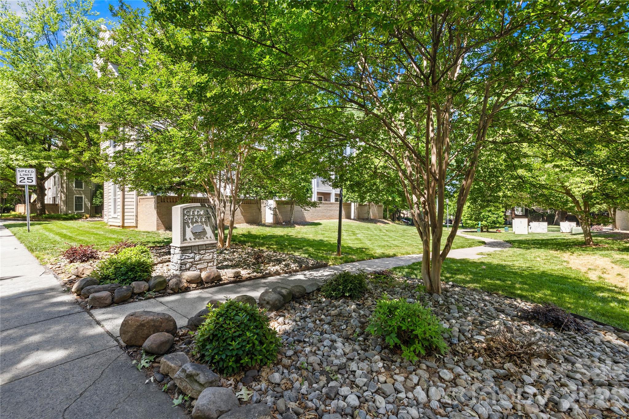244 S Cedar Street 3