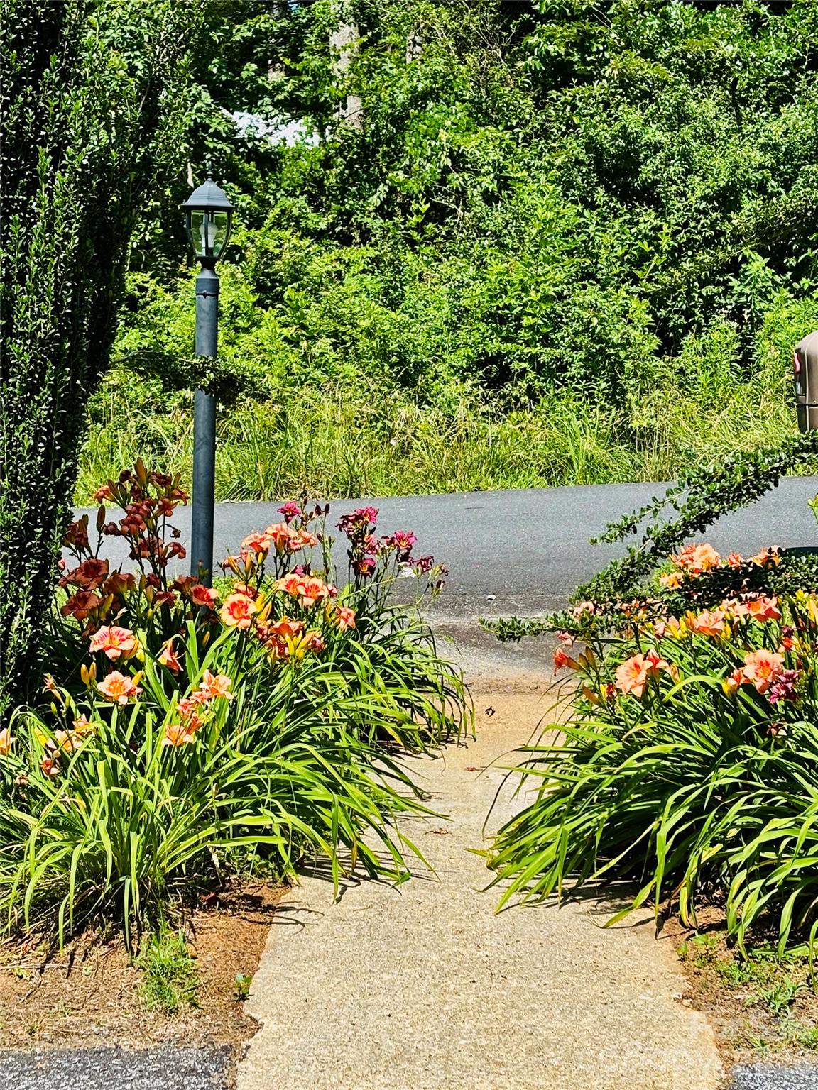 Salley Hill - Residential