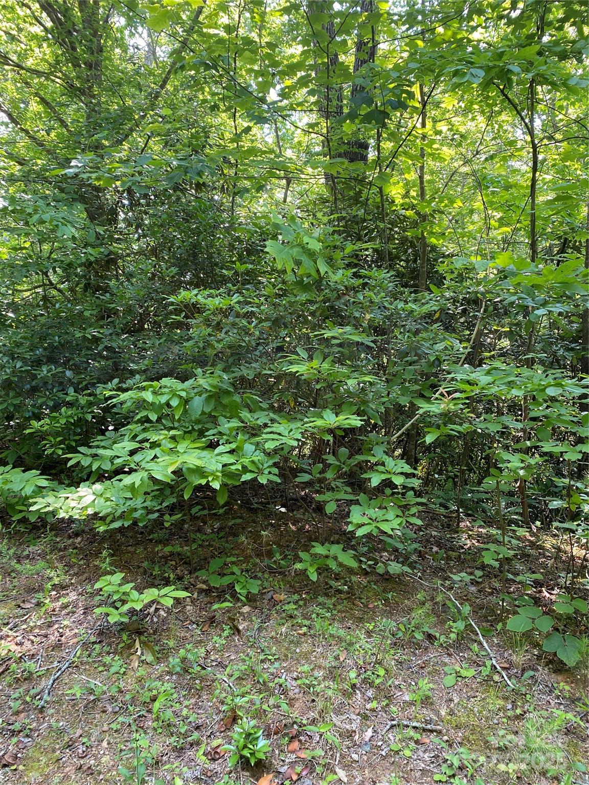Riverbend at Lake Lure - Land