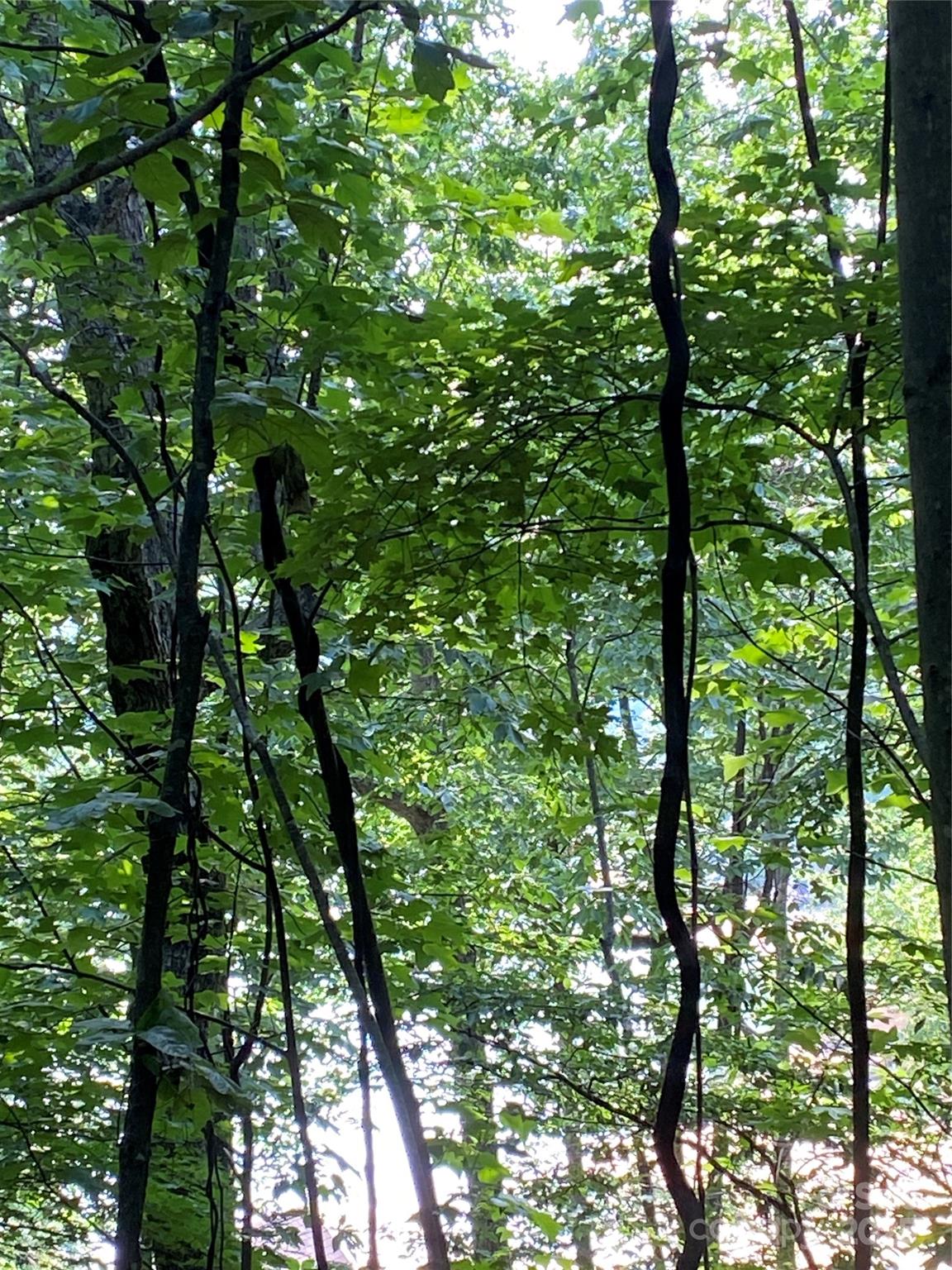 Riverbend at Lake Lure - Land