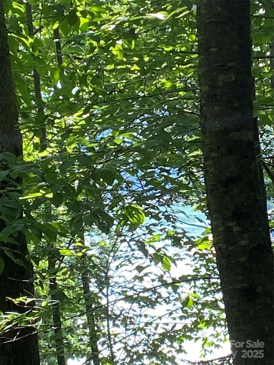 This 0.72 acre lot is the perfect place to build your NC mountain home. This wooded lot faces Lake Lure with winter mountain views and possible lake views.This gated private community features two private lakes and an outdoor pavilion with a fireplace, a beachfront and access to the Broad River. The neighborhood is nestled in the Lake Lure community where there are ample opportunities for outdoor adventures. Spend your days boating, fishing and swimming in the private lakes at Riverbend of Lake Lure. Lake Lure offers hiking trails, golf courses and local shops and restaurants. It is the perfect location for a family retreat and a place to make memories with family and friends. Schedule a showing today and make all your NC mountain dreams come true.