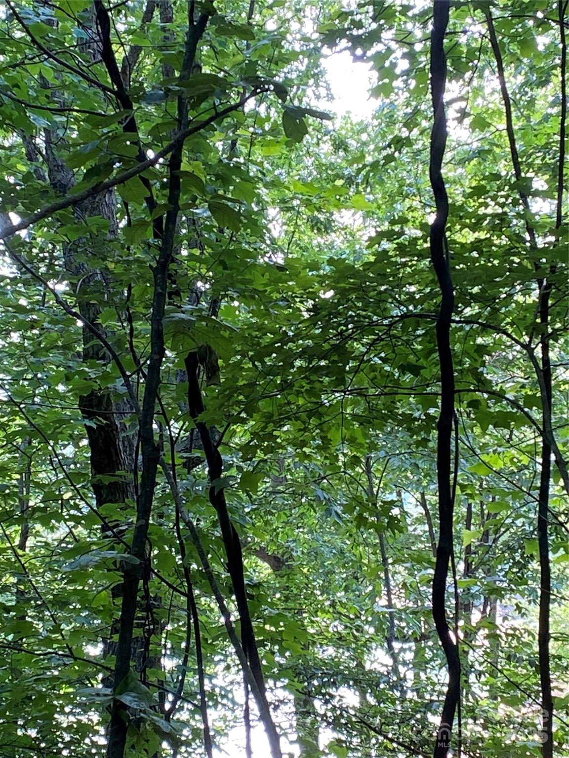 Riverbend at Lake Lure - Land