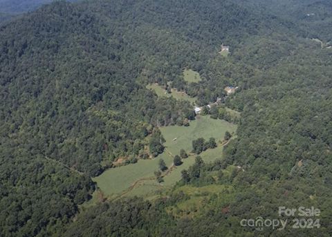 1372 Sand Branch Road Black Mountain NC 28711