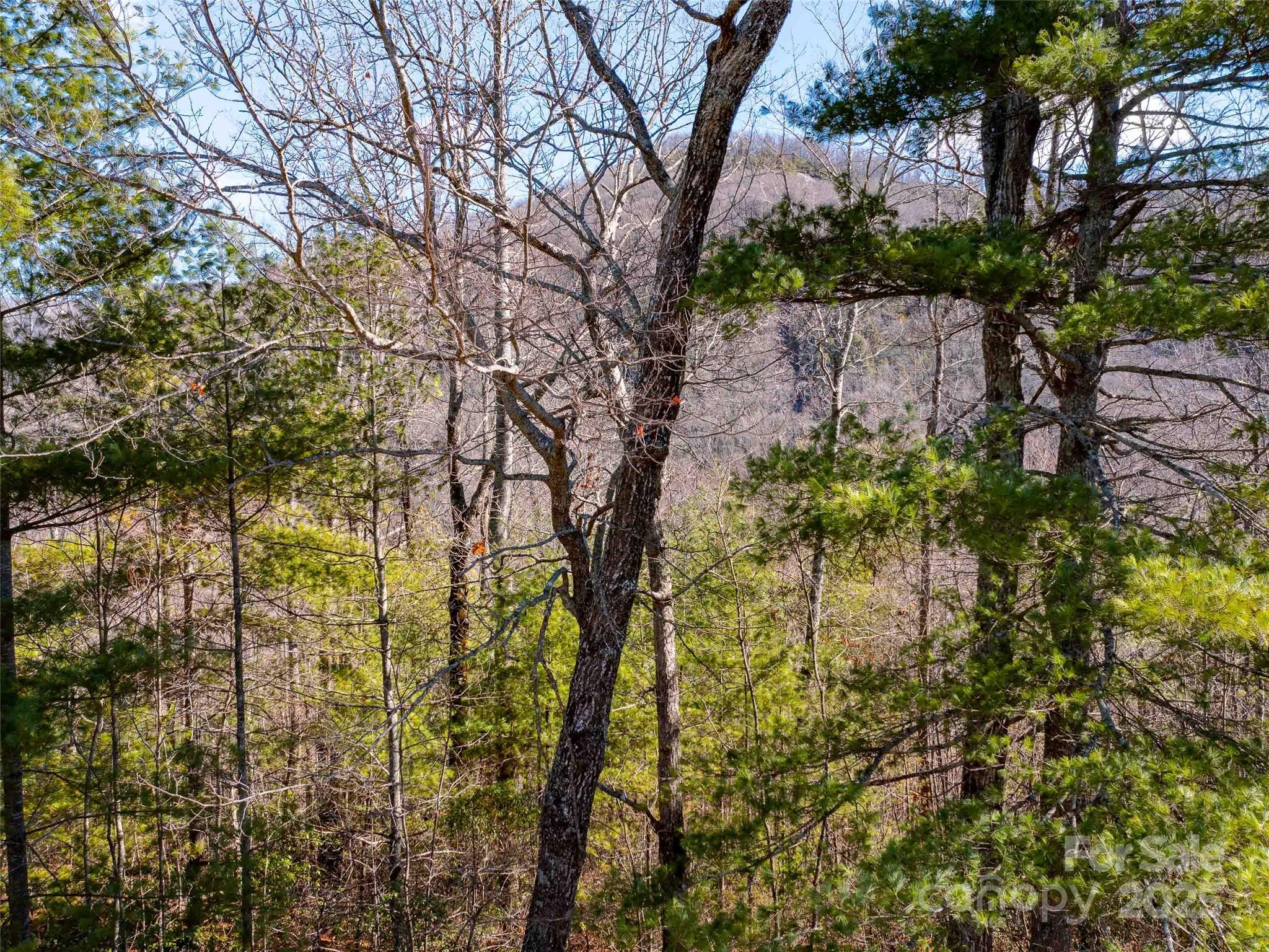 794 Silverstone Drive