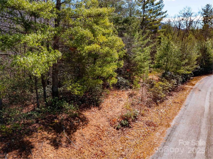 Seize the opportunity to build your dream home on this serene, private lot in the Silverstone community. Enjoy the perfect balance of privacy and convenience. With paved road frontage and underground utilities in place, this lot is ready for your vision. Don’t miss out – priced to sell quickly. 3BR septic permit on file.