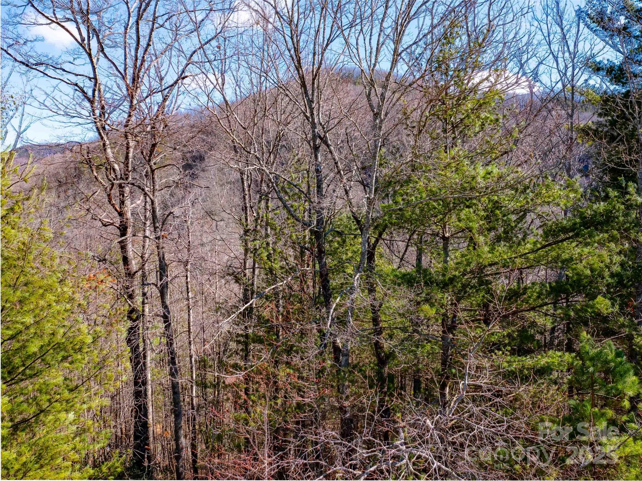 794 Silverstone Drive