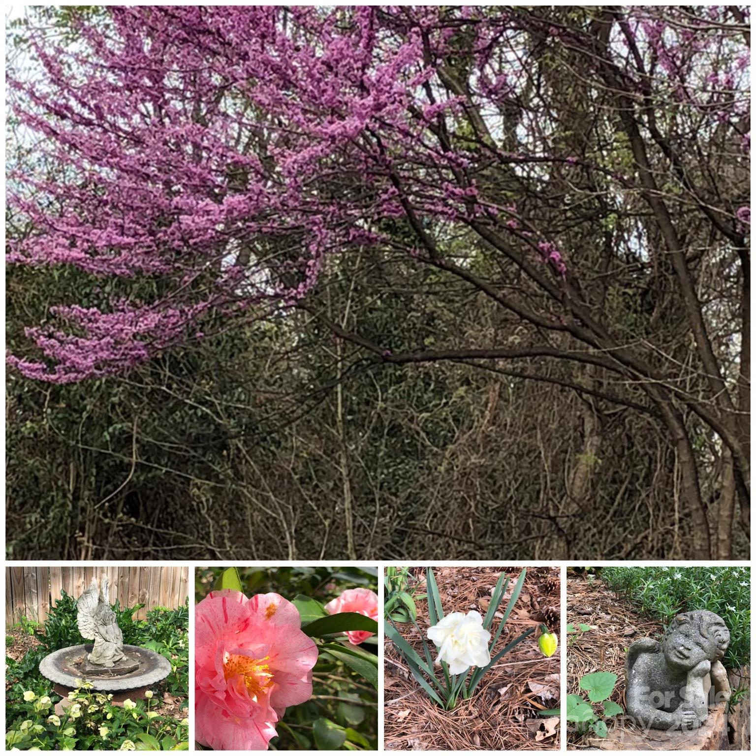 Olde Providence - Residential