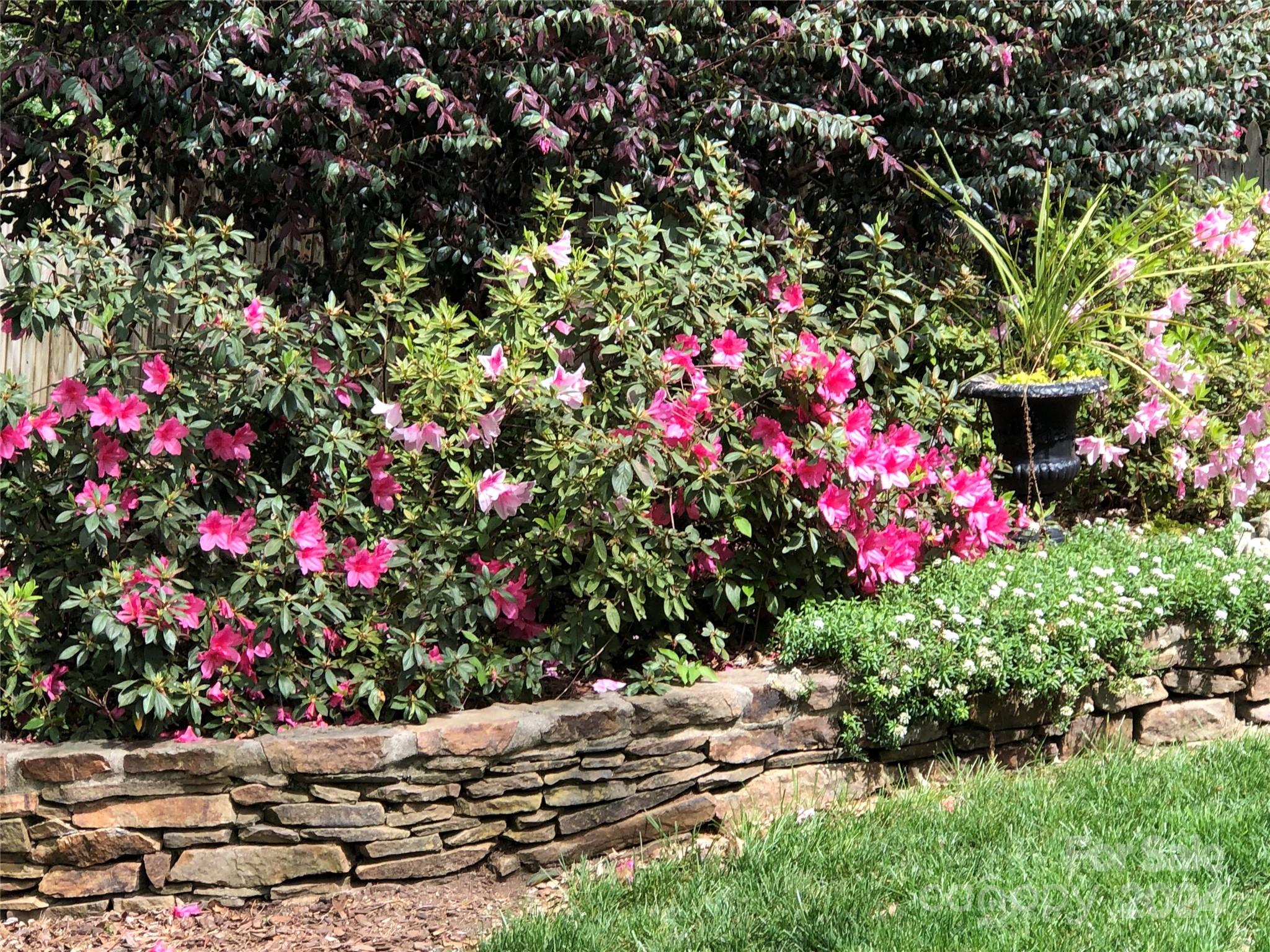 Olde Providence - Residential