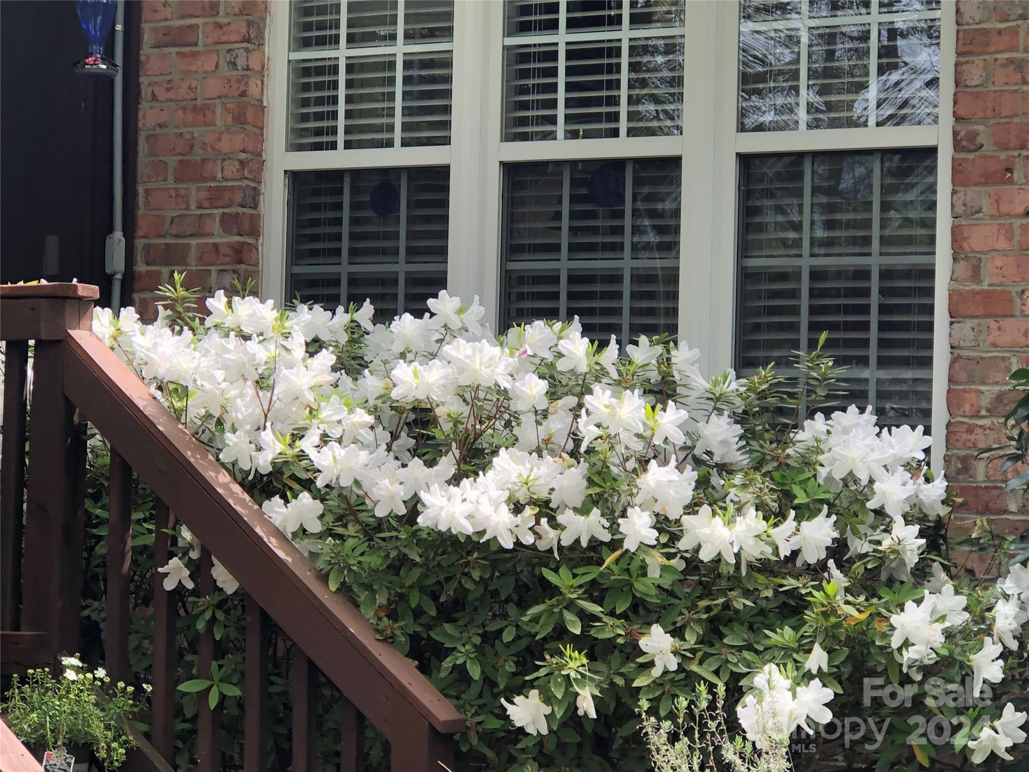 Olde Providence - Residential