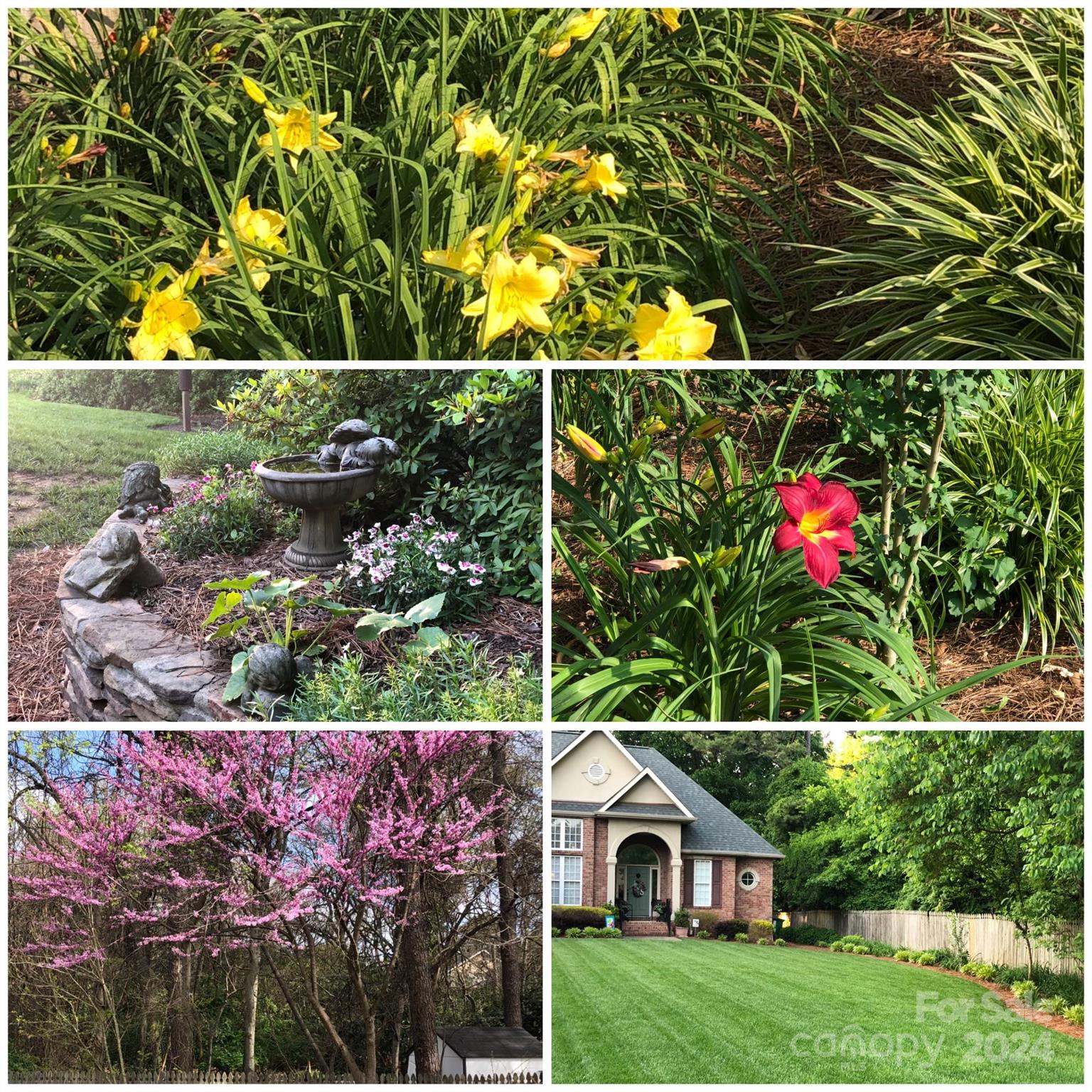 Olde Providence - Residential