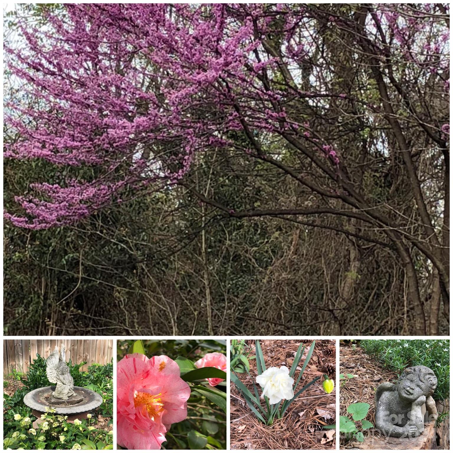 Olde Providence - Residential