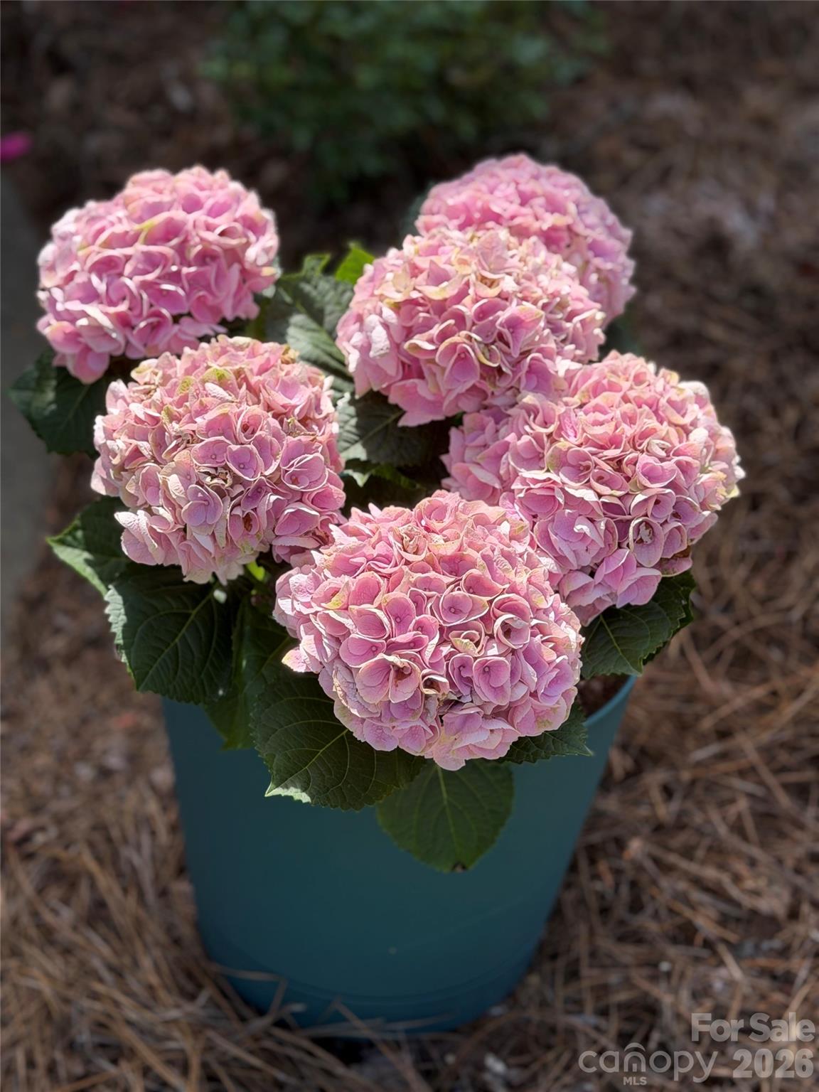 Sedona at Stone Creek Ranch - Residential