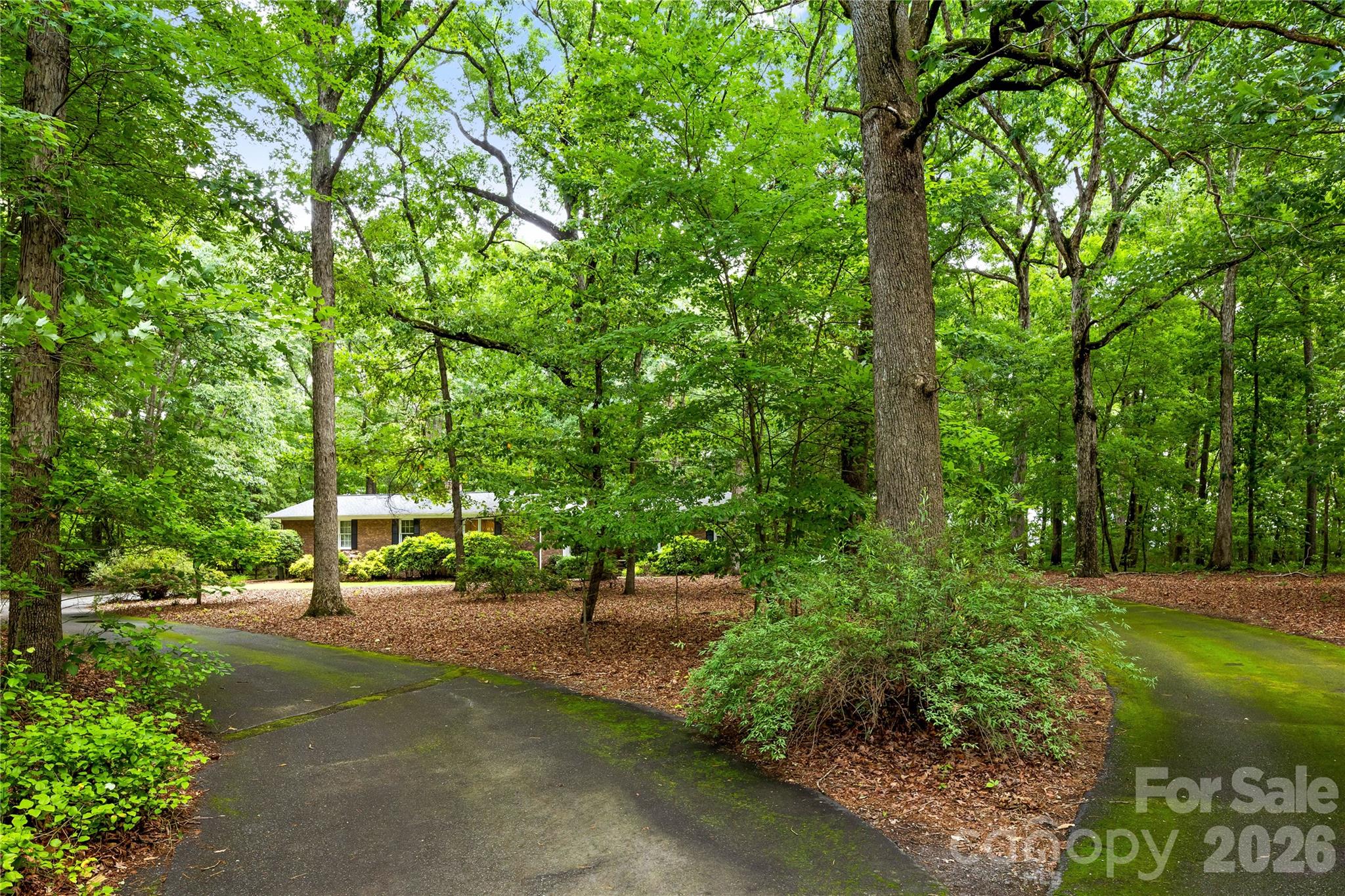2038 Skyway Drive