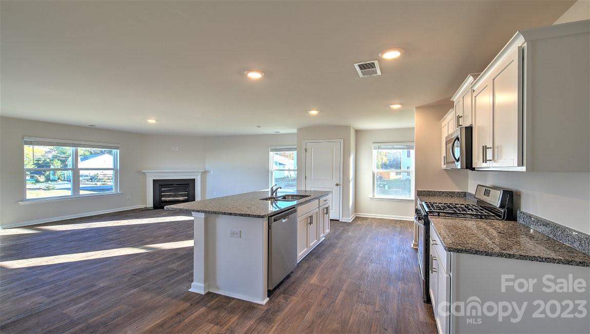 The Mills at Long Creek - Residential