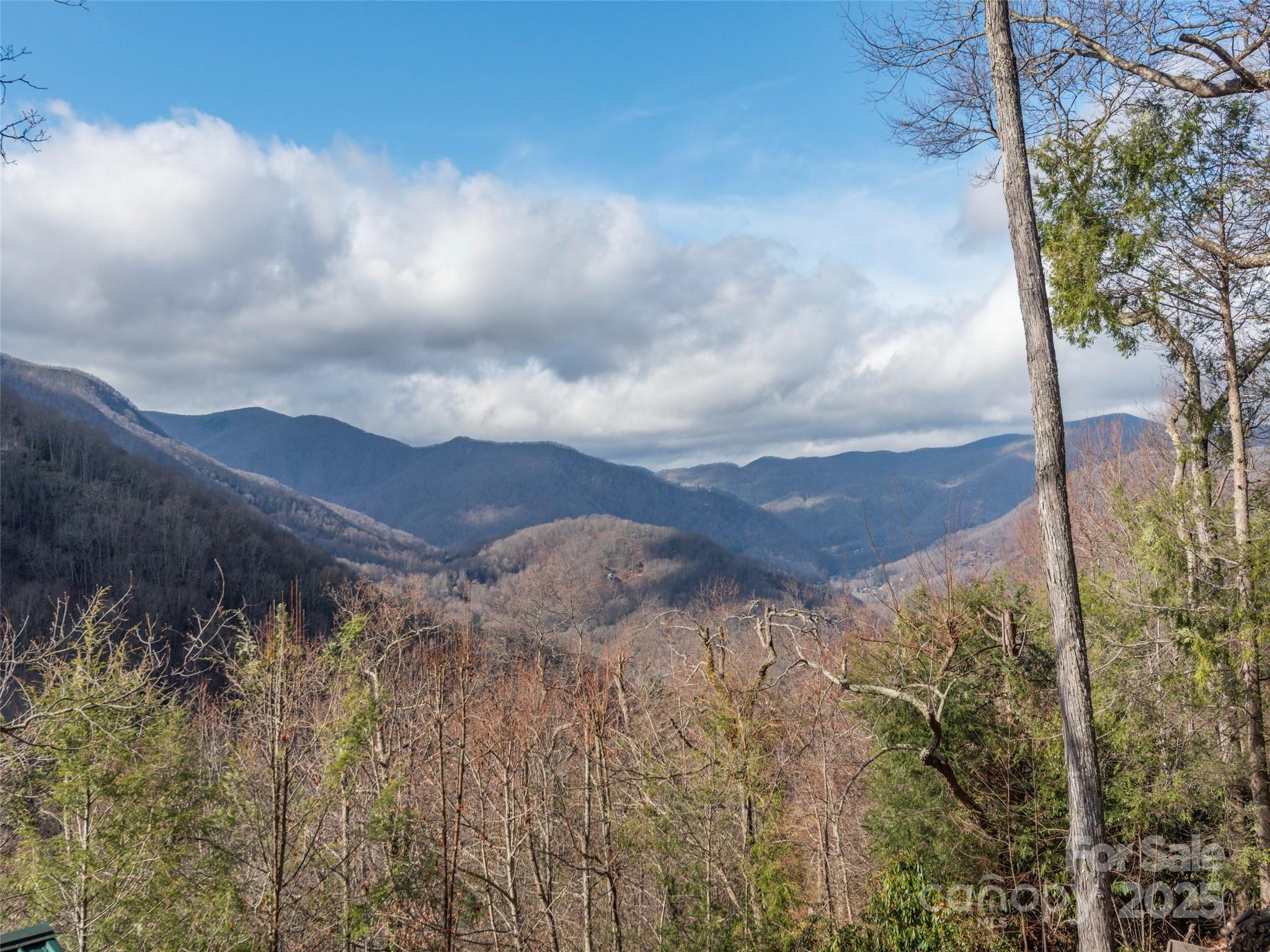 Maggie Overlook - Residential