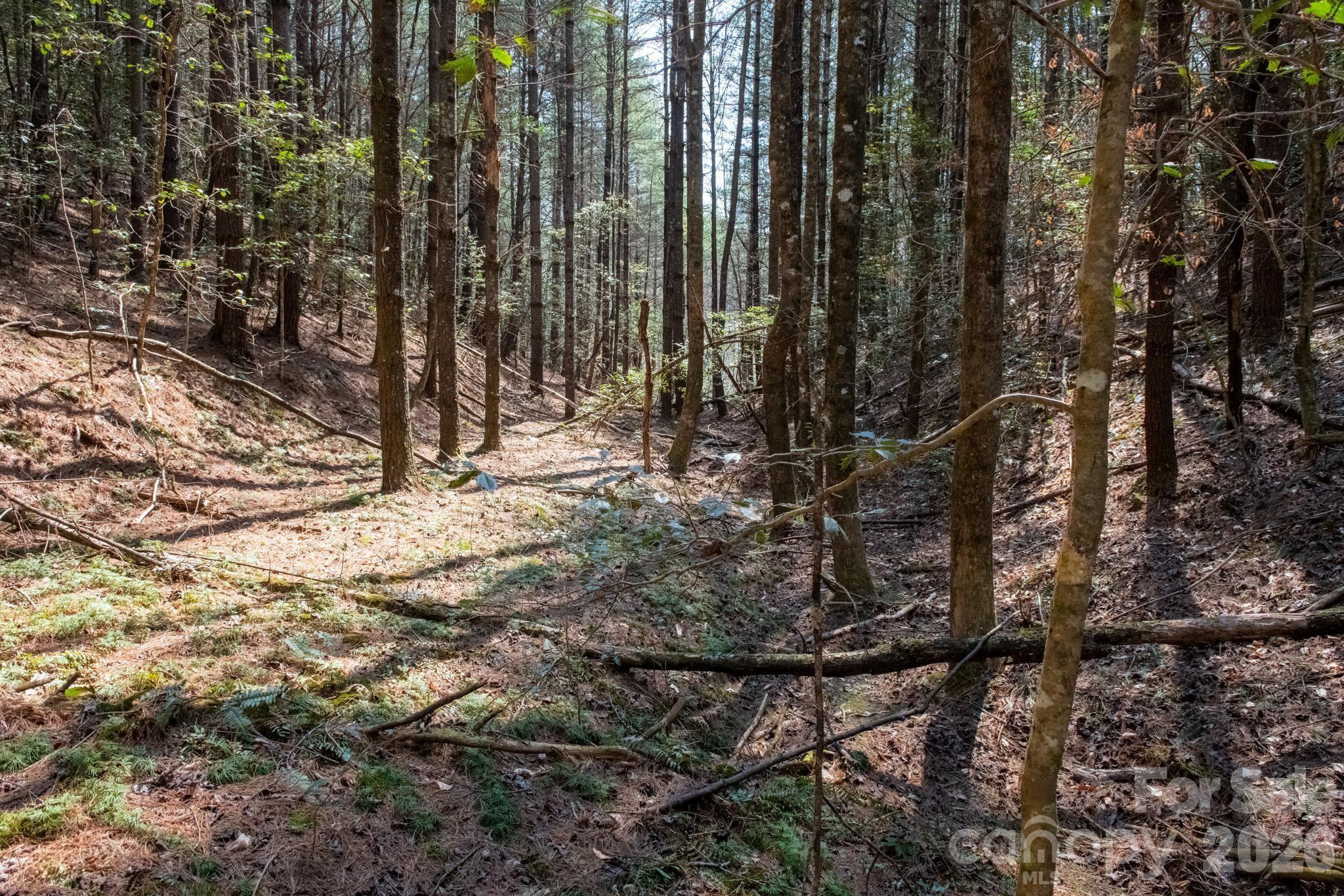The Bluffs of Wilson Creek - Land