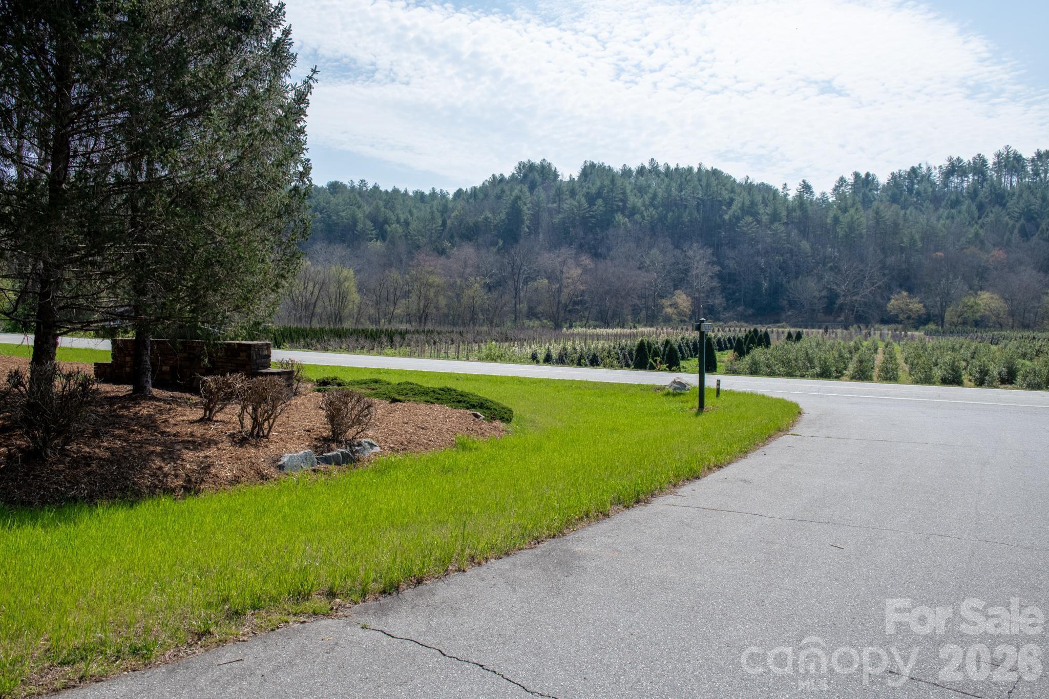 The Bluffs of Wilson Creek - Land