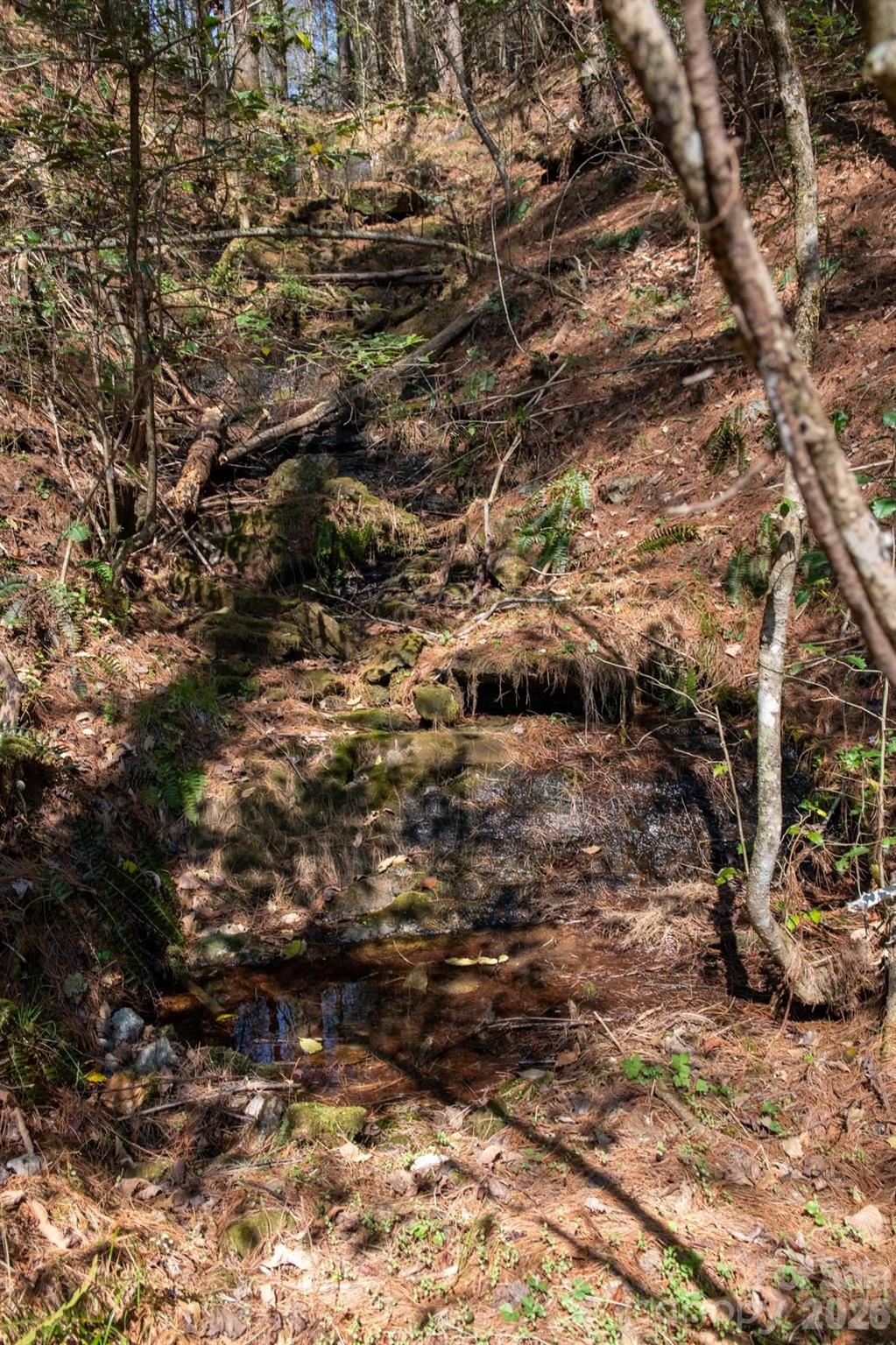 The Bluffs of Wilson Creek - Land