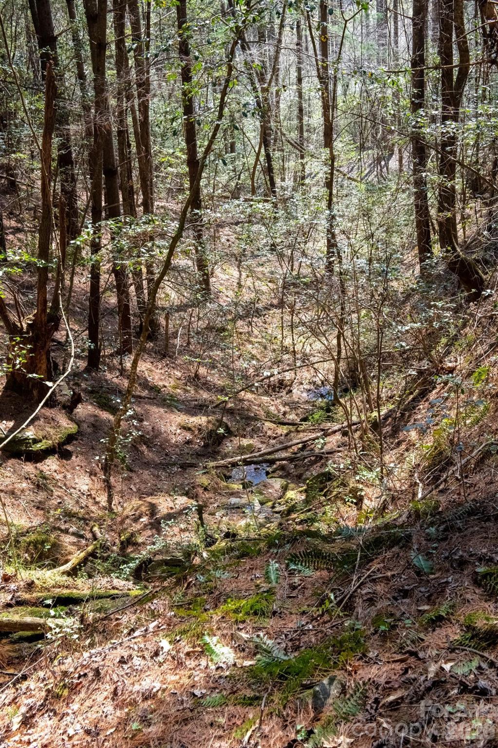 The Bluffs of Wilson Creek - Land