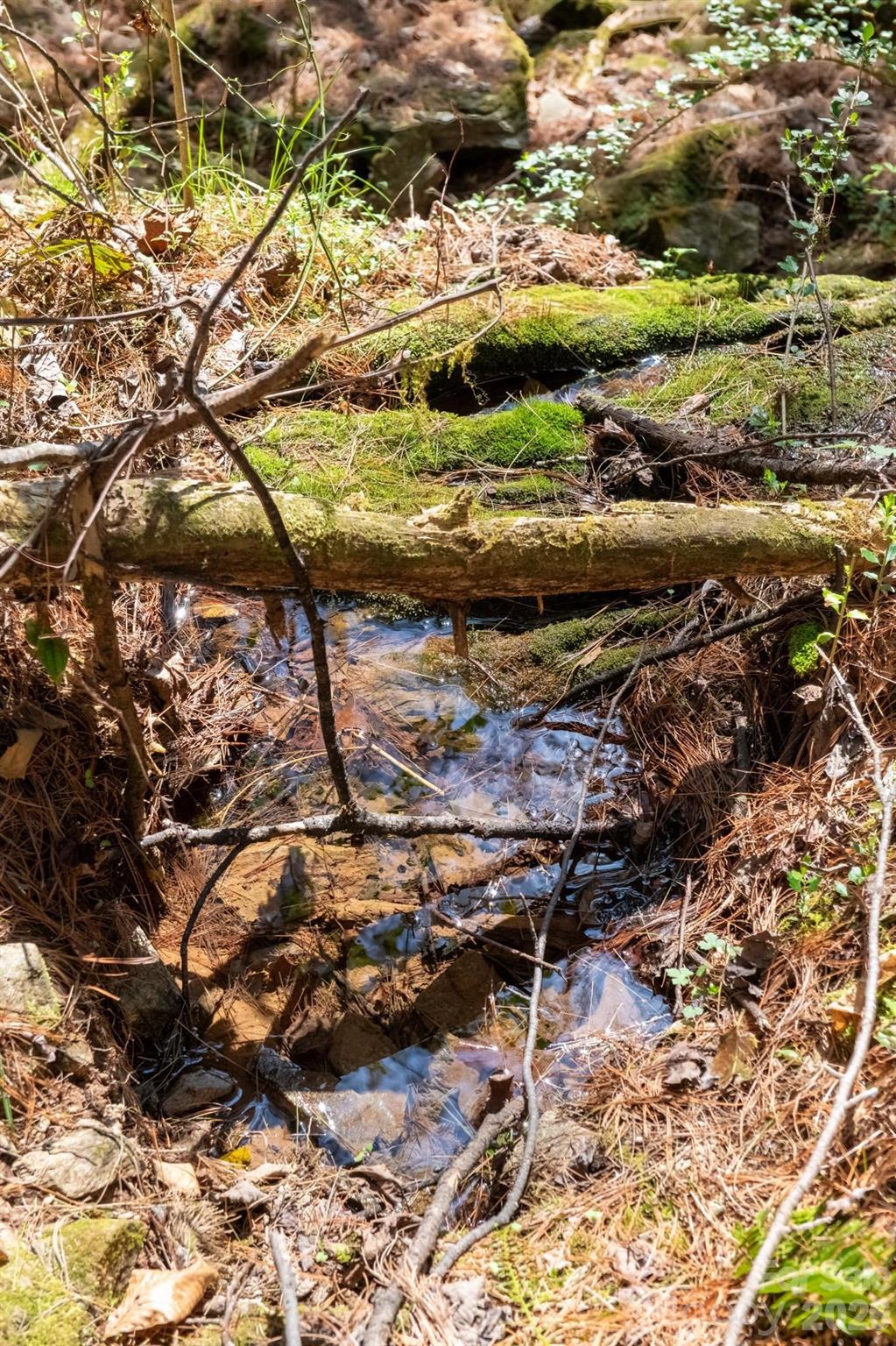 The Bluffs of Wilson Creek - Land