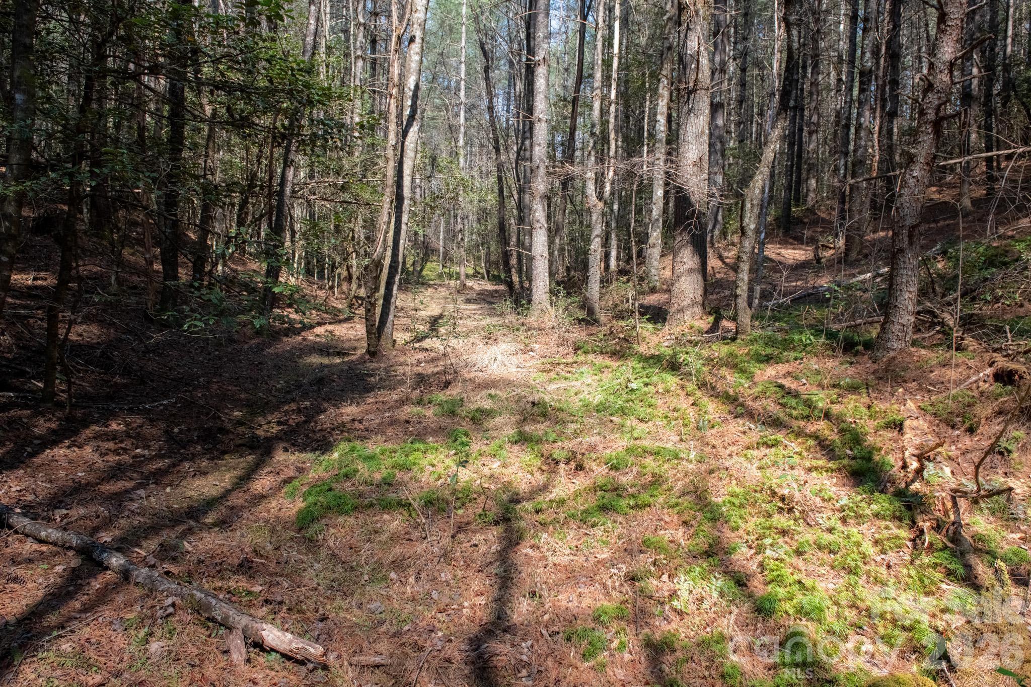 The Bluffs of Wilson Creek - Land