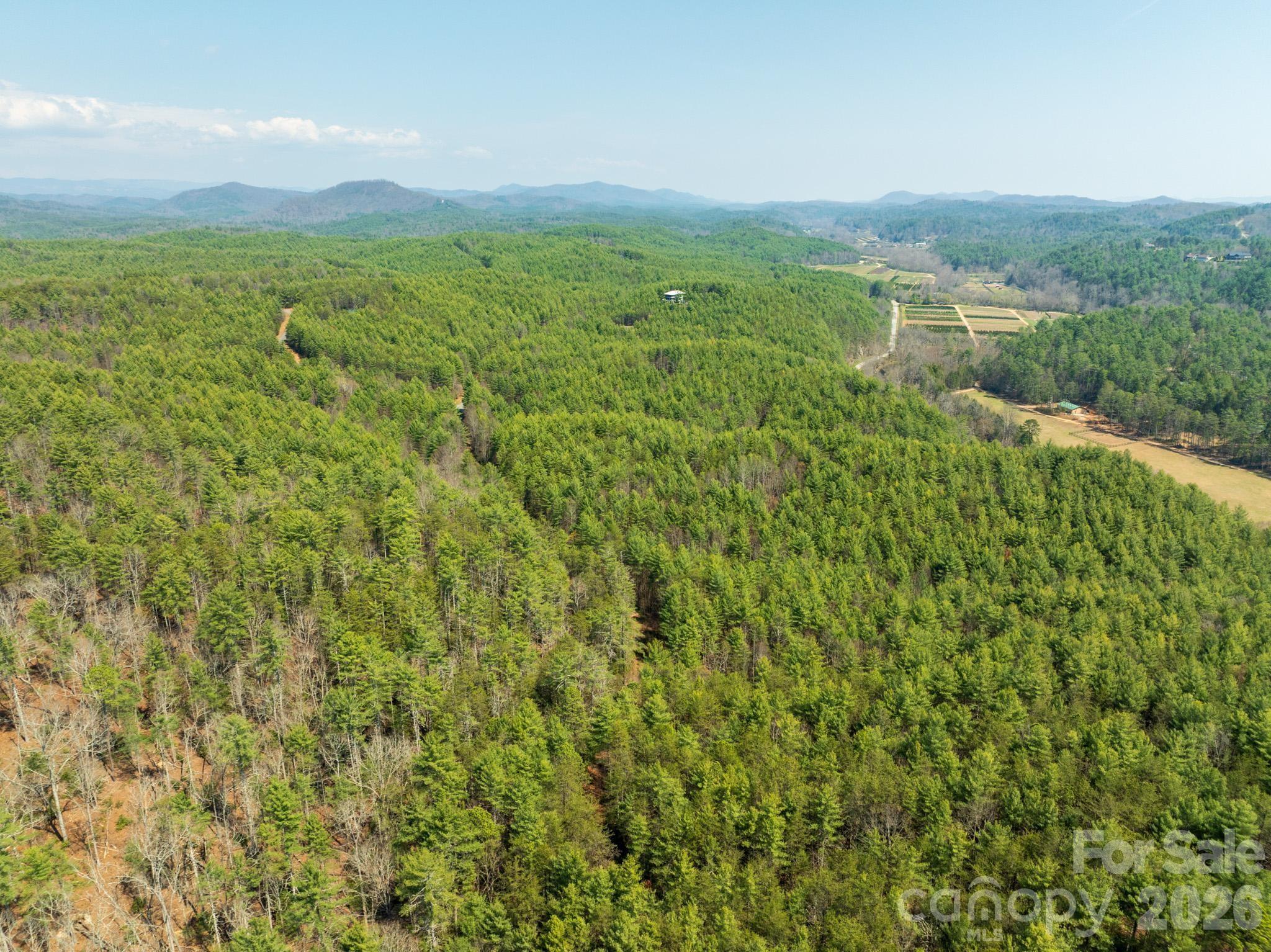 The Bluffs of Wilson Creek - Land