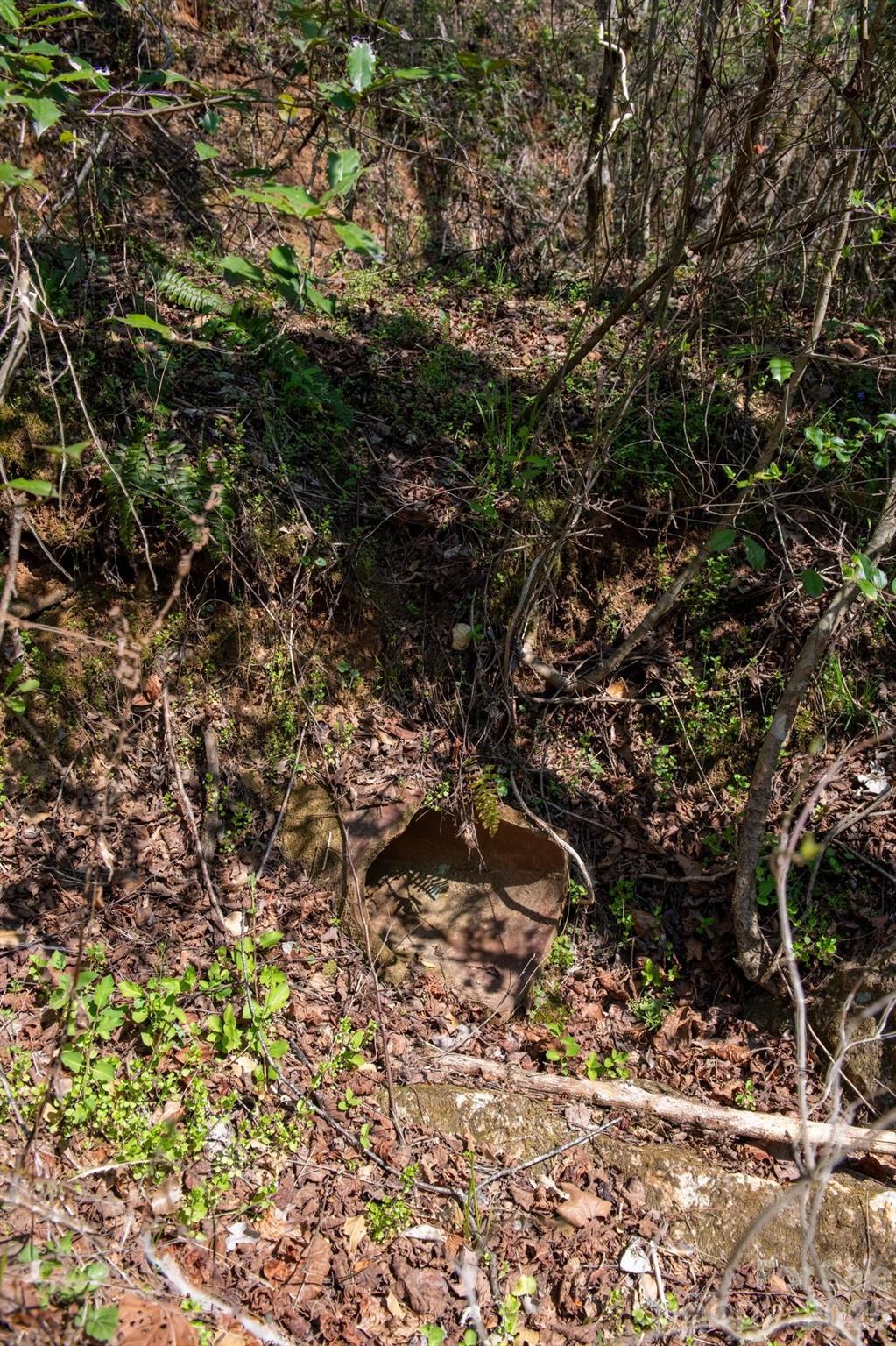 The Bluffs of Wilson Creek - Land