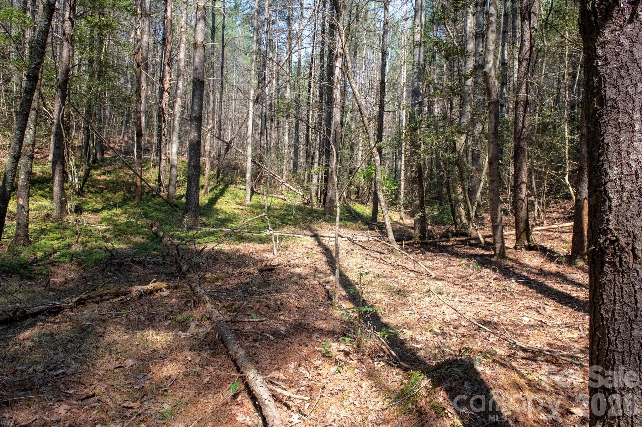 The Bluffs of Wilson Creek - Land