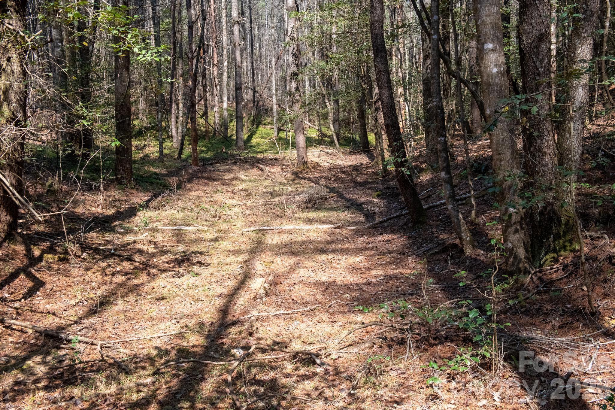 The Bluffs of Wilson Creek - Land